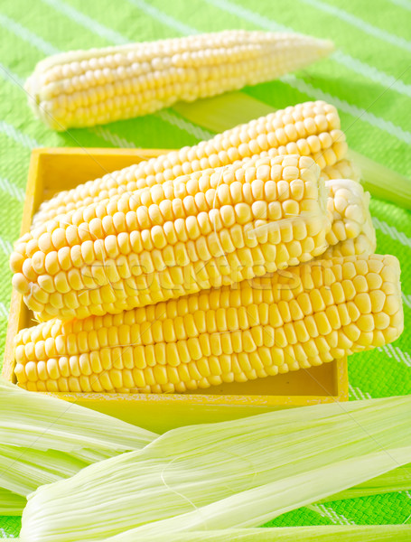 raw corn Stock photo © tycoon