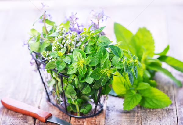 aroma herb Stock photo © tycoon