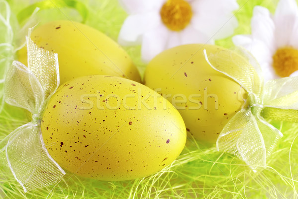 Szín tojások húsvét virág fű nap Stock fotó © tycoon