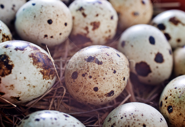 Eieren voedsel ei tabel donkere shell Stockfoto © tycoon