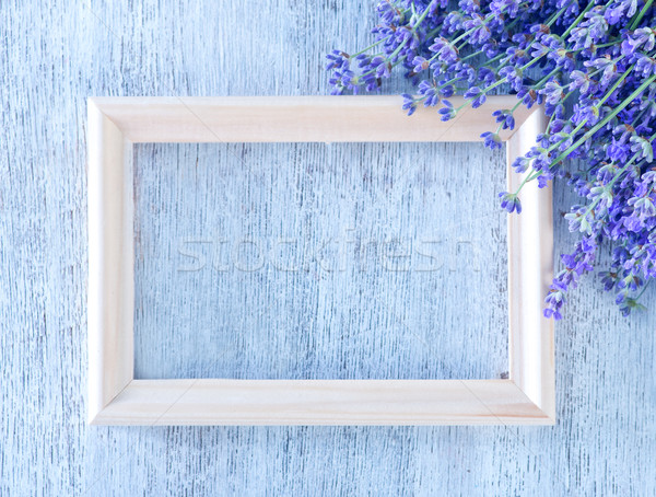 lavender Stock photo © tycoon