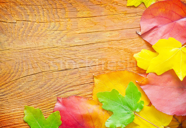 leaves on wooden background Stock photo © tycoon