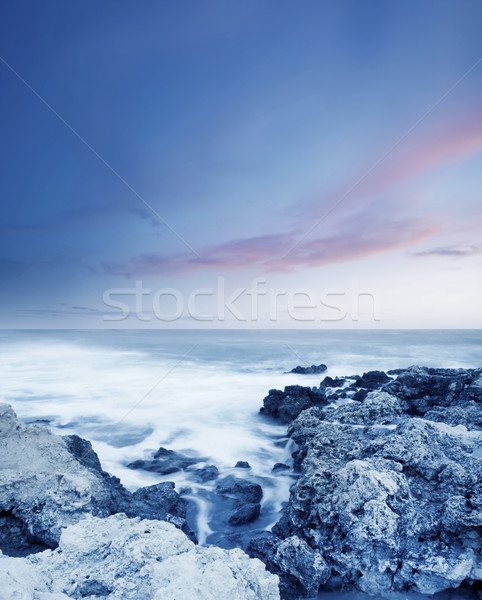 Zee kust strand hemel zon licht Stockfoto © tycoon