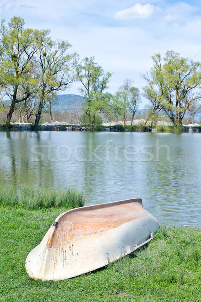 lake in Crimea Stock photo © tycoon