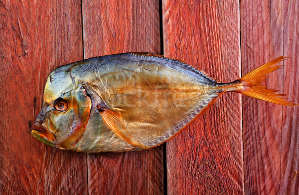 smoked fish Stock photo © tycoon