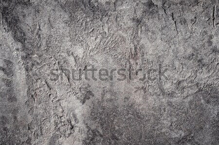 beton  Stock photo © tycoon