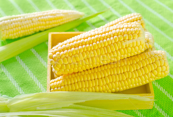 raw corn Stock photo © tycoon