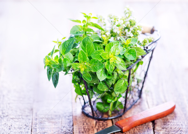 aroma herb Stock photo © tycoon