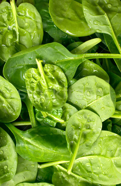 Stock photo: spinach