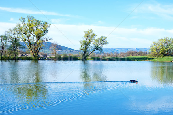 Lake in Crimea Stock photo © tycoon