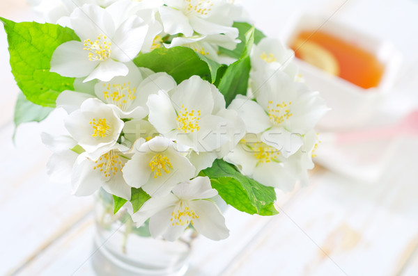 Stock fotó: Jázmin · tea · citrom · virág · levél · háttér