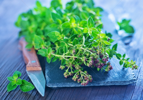 marjoram Stock photo © tycoon