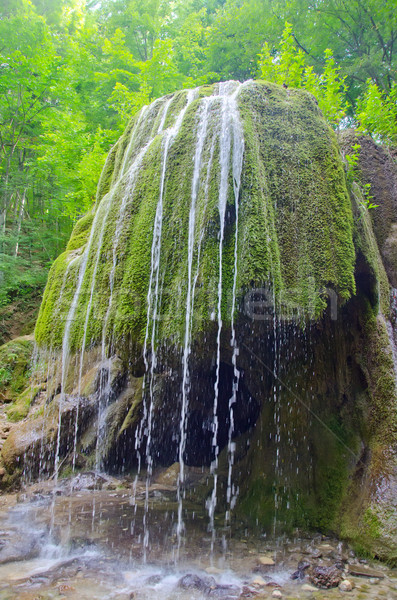 Cascade eau printemps lumière feuille fond [[stock_photo]] © tycoon