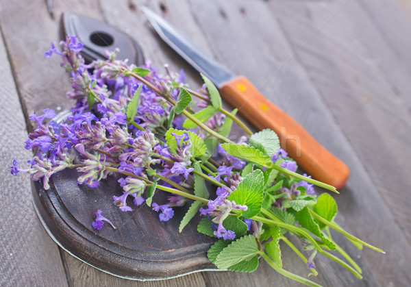 Imagine de stoc: Aroma · iarbă · oregano · alimente · lemn · sănătate