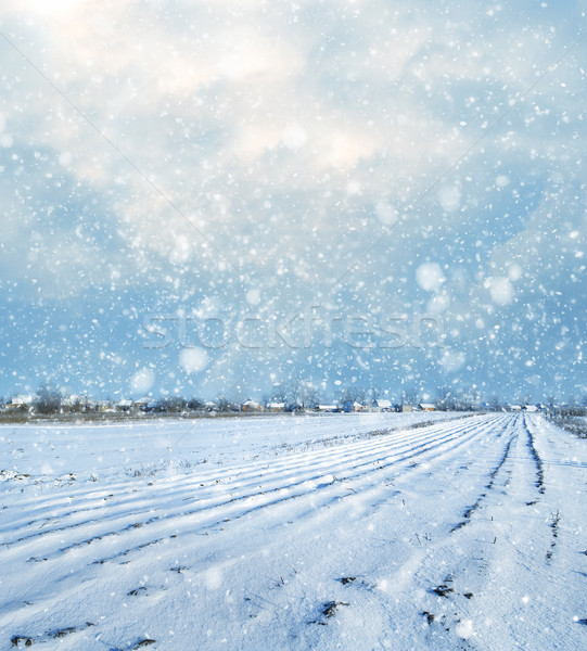 зима небе области льда зеленый синий Сток-фото © tycoon