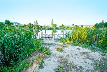Lake in Crimea Stock photo © tycoon