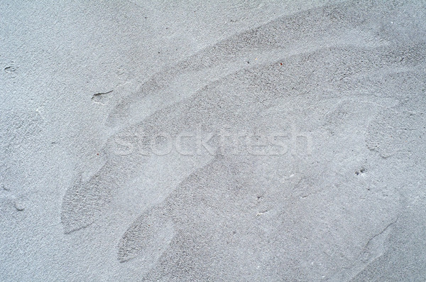 beton wall Stock photo © tycoon