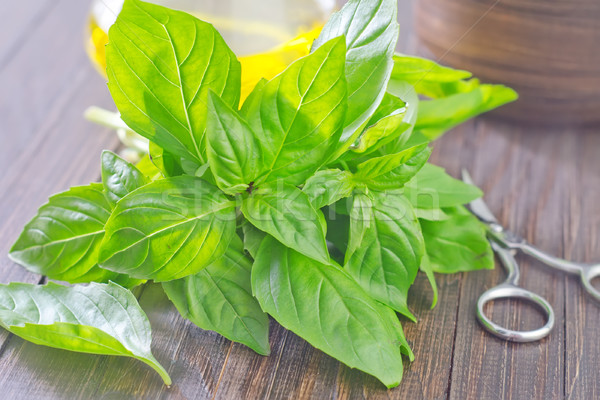 basil Stock photo © tycoon