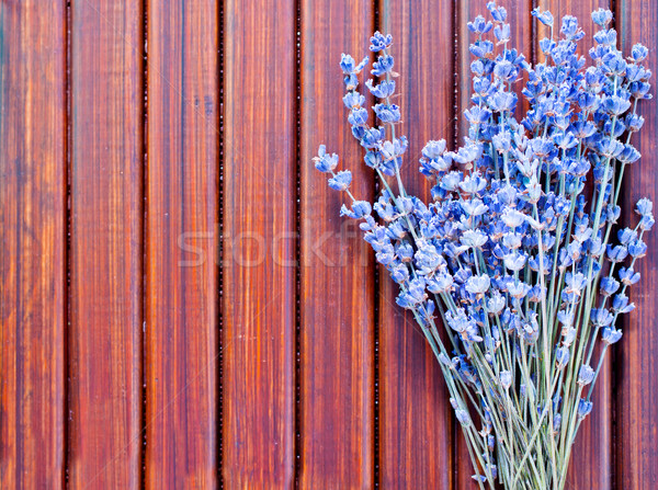 lavender Stock photo © tycoon
