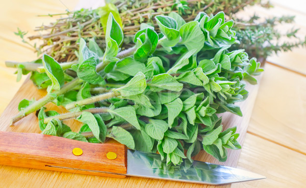 Stock foto: Oregano · Holz · Natur · Garten · Pflanzen · frischen