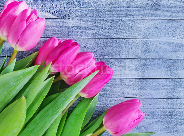 Stock photo: tulips