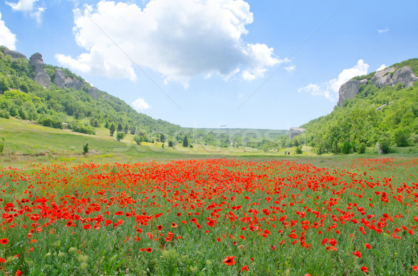 Montagna cielo giardino bellezza campo verde Foto d'archivio © tycoon