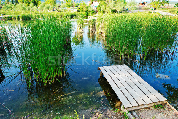 Lake in Crimea Stock photo © tycoon