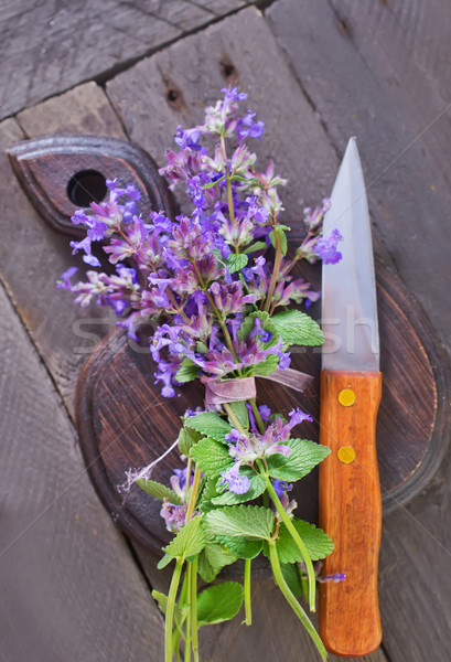 Aroma erbe origano alimentare legno salute Foto d'archivio © tycoon