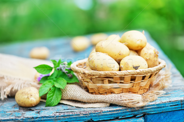 raw potato Stock photo © tycoon