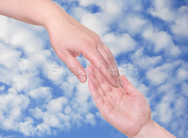 Two palms Stock photo © ukrainec