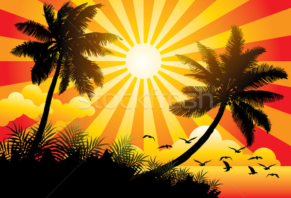 été paradis graphique ensoleillée plage oiseaux [[stock_photo]] © UltraPop