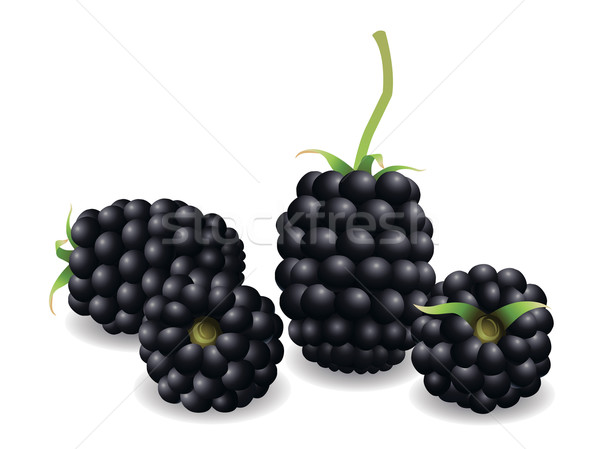 [[stock_photo]]: BlackBerry · fruits · fraîches · nature · feuille
