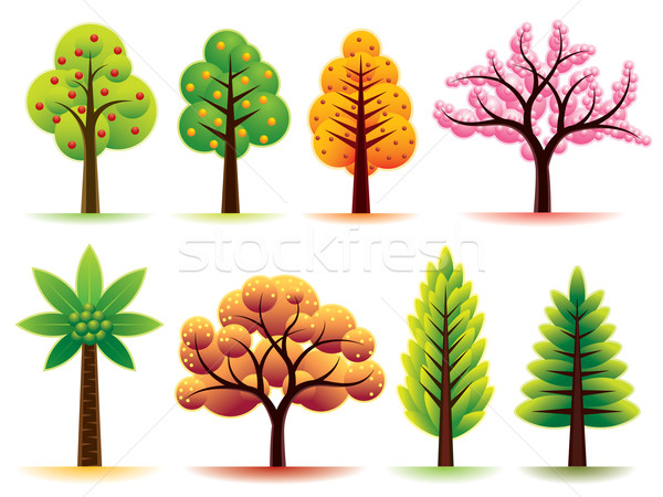 Fák vektor szett különböző fa levél Stock fotó © UltraPop