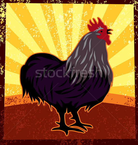 Gallo gallo alimentos granja amanecer Cartoon Foto stock © UltraPop