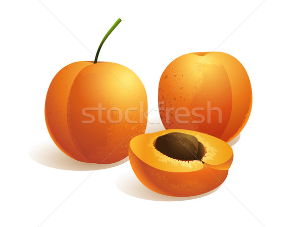 Abricot fruits réaliste fraîches orange régime alimentaire Photo stock © UltraPop