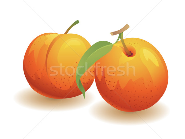 Stockfoto: Perzik · vruchten · realistisch · twee · perziken · natuur