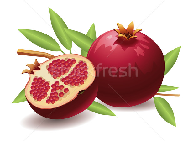 Stock photo: Pomegranate