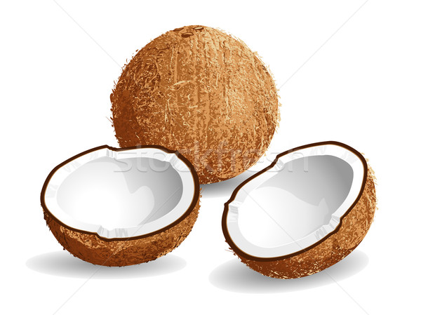 Coconut Stock photo © UltraPop