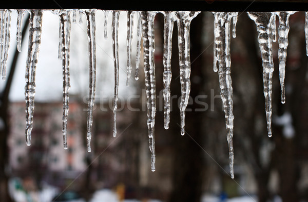 icicles which are hanging down Stock photo © ultrapro