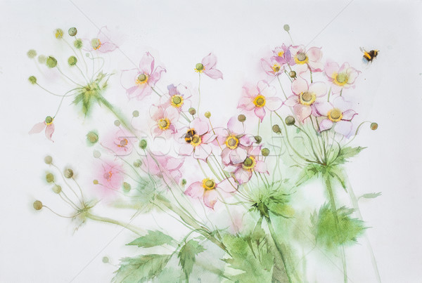 ストックフォト: 花 · 水彩画 · ピンク · 白 · 庭園