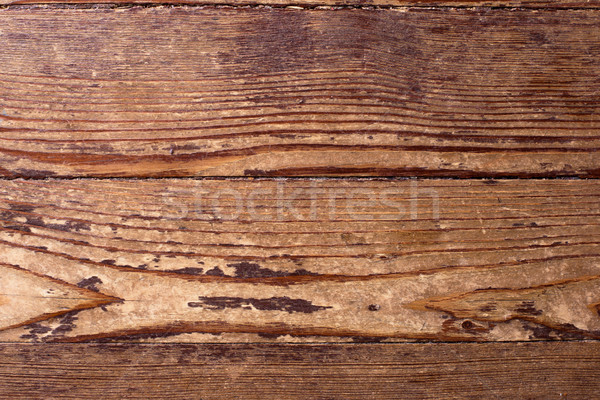 pine wood texture. Stock photo © ultrapro