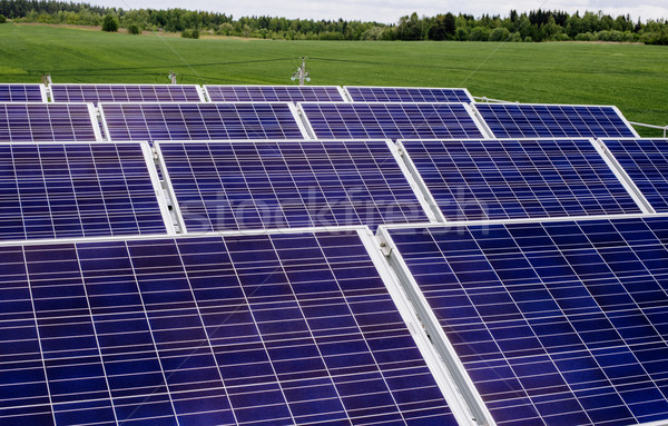 surface of the a solar panel on field Stock photo © ultrapro