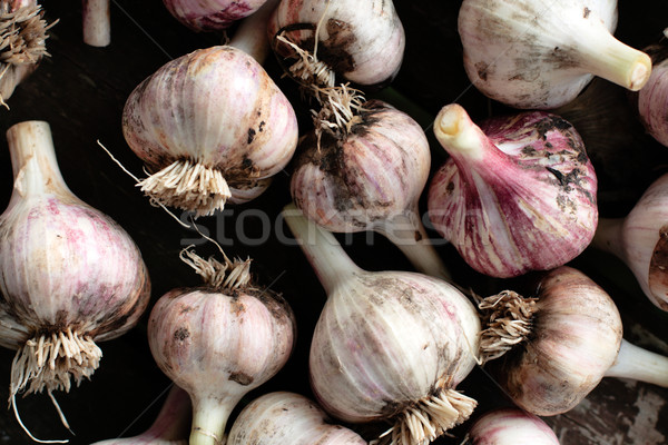 fresh garlic on the table. close-up Stock photo © ultrapro