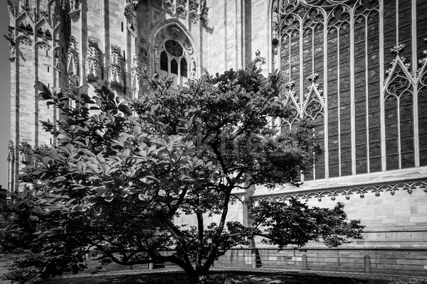 Milan pormenor preto e branco imagem Foto stock © umbertoleporini