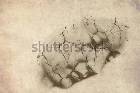 Escuro cara mãe cabeça branco mármore Foto stock © umbertoleporini
