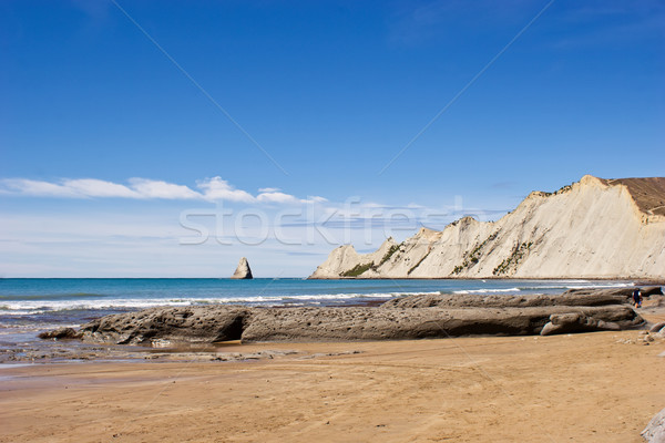 Cape Kidnappers Stock photo © Undy