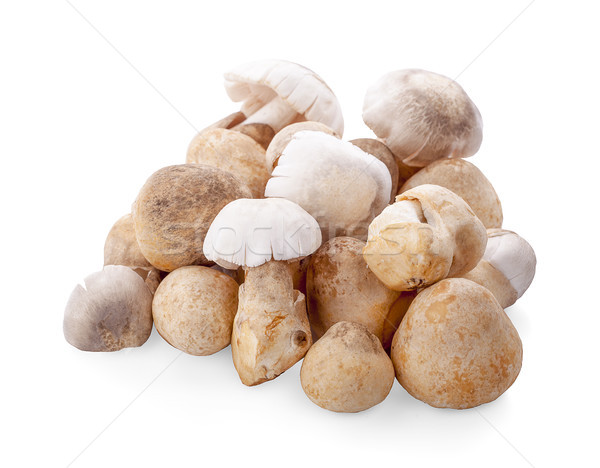 Straw mushrooms isolated on white background . Stock photo © ungpaoman