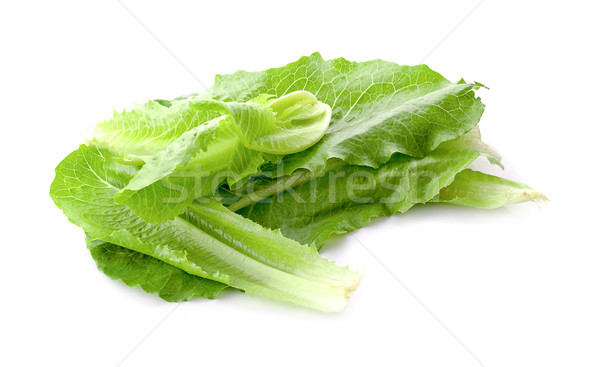 Salad mix with rucola, frisee, radicchio and lamb's lettuce. Iso Stock photo © ungpaoman