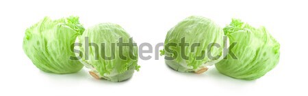 Zöld jéghegy saláta fehér étel természet Stock fotó © ungpaoman