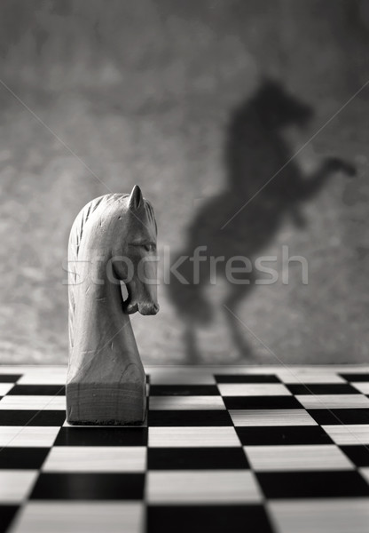 Stockfoto: Leider · schaakstuk · paard · business · muur · kunst